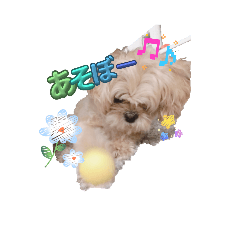 ELISA_20260118192249