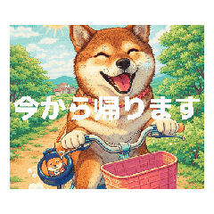 kurosiba-hime_20260117171558