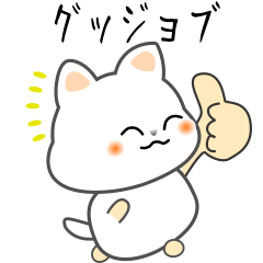 nobobi Kitty Tamachin