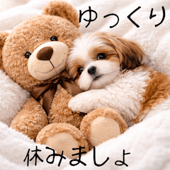 expressive shih tzu greetings all year