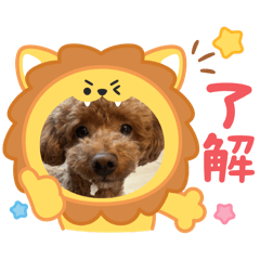 lovely_20260118202920