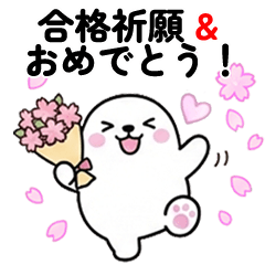 Round Dog: Prayer for Success - Grats!