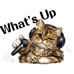 Kazumi_20260117230351