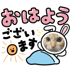 Muntyan_20260118000036