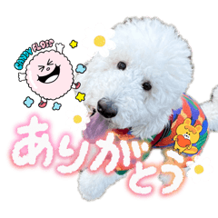 Misuzu_20260118212601