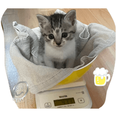 SHIMIZU_20260119080535