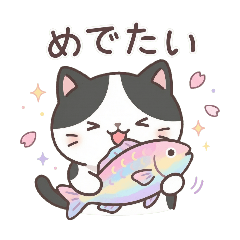 chamame_20260116231541