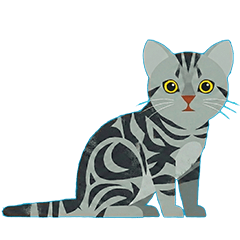 U-chan modern Feline