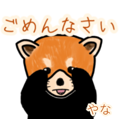 Yana's lesser panda