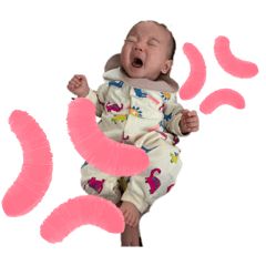 kinako_20260118221835