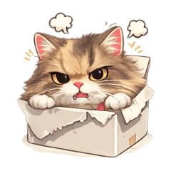 Hime is a cat.