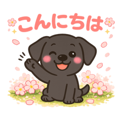 SAKURA_20260118084443