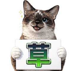 Siamese Cat  Expressive Sticker Set