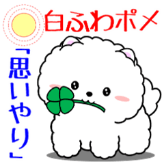 飛び出す!白ふわポメの思いやり