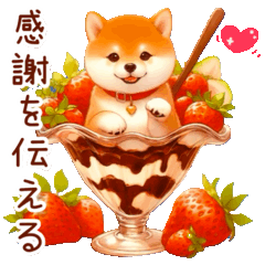 【動く】感謝を伝える柴犬とうさぎ