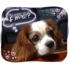 Nao.M_20260118214802