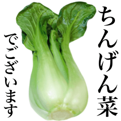 Flesh "Bok choy" 3