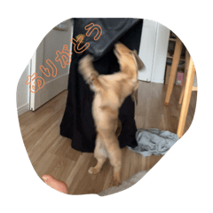 Ayumu_20260118220919