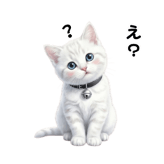 Tsukiyo_20260118150937