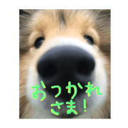 harunyanS