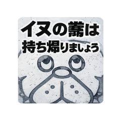 kinkin_20260118145221