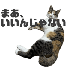 Mikeneko Tsukune