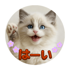 annin_20260118145159