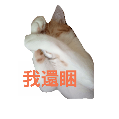 無聊繪貓