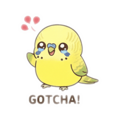 chugu_20260117083324