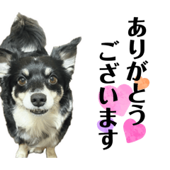 mizuki_20260118203620