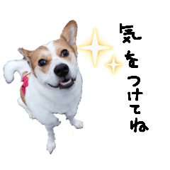 INUMHA_20260118231844