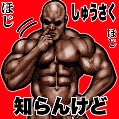Shusaku dedicated Muscle macho Big 2