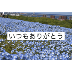 Stamp of easy-to-use flowers