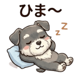 Cute Mini Schnauzer for Everyday Use2