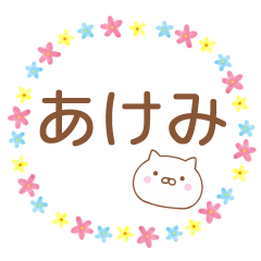 Simple Message Cat Used by AKEMI