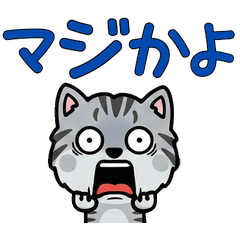 Silver Tabby Cat Message 3rd