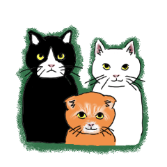 可愛い猫ちゃん ！