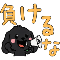 動く黒コッカースパ4