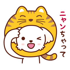 Momo the Maltese_Puns galore 2