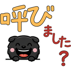 動く敬語の黒スコティッシュ6