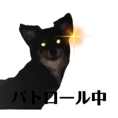 my favorite dog is on