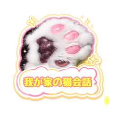 mikkonee_20260119103240