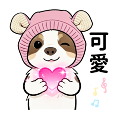 Hsieh Chiao Chiao_20260117215717