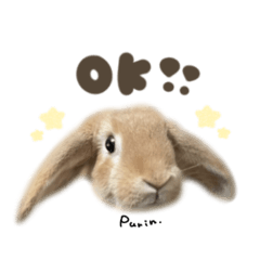 ぷりんくん☆BIGface