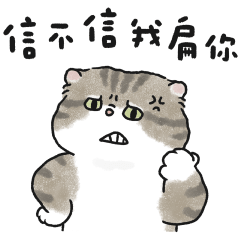 奶油小生你少在那邊(虎斑貓)