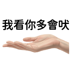 Miss A:Gesture Chart 3