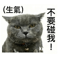 * 麻糬的日常 (1) *