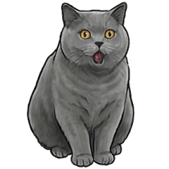 * 麻糬的日常 (2) *