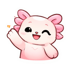 粉紅六角蝾螈Momo 萌萌反應