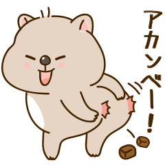 cute chubby Wombat [JP]